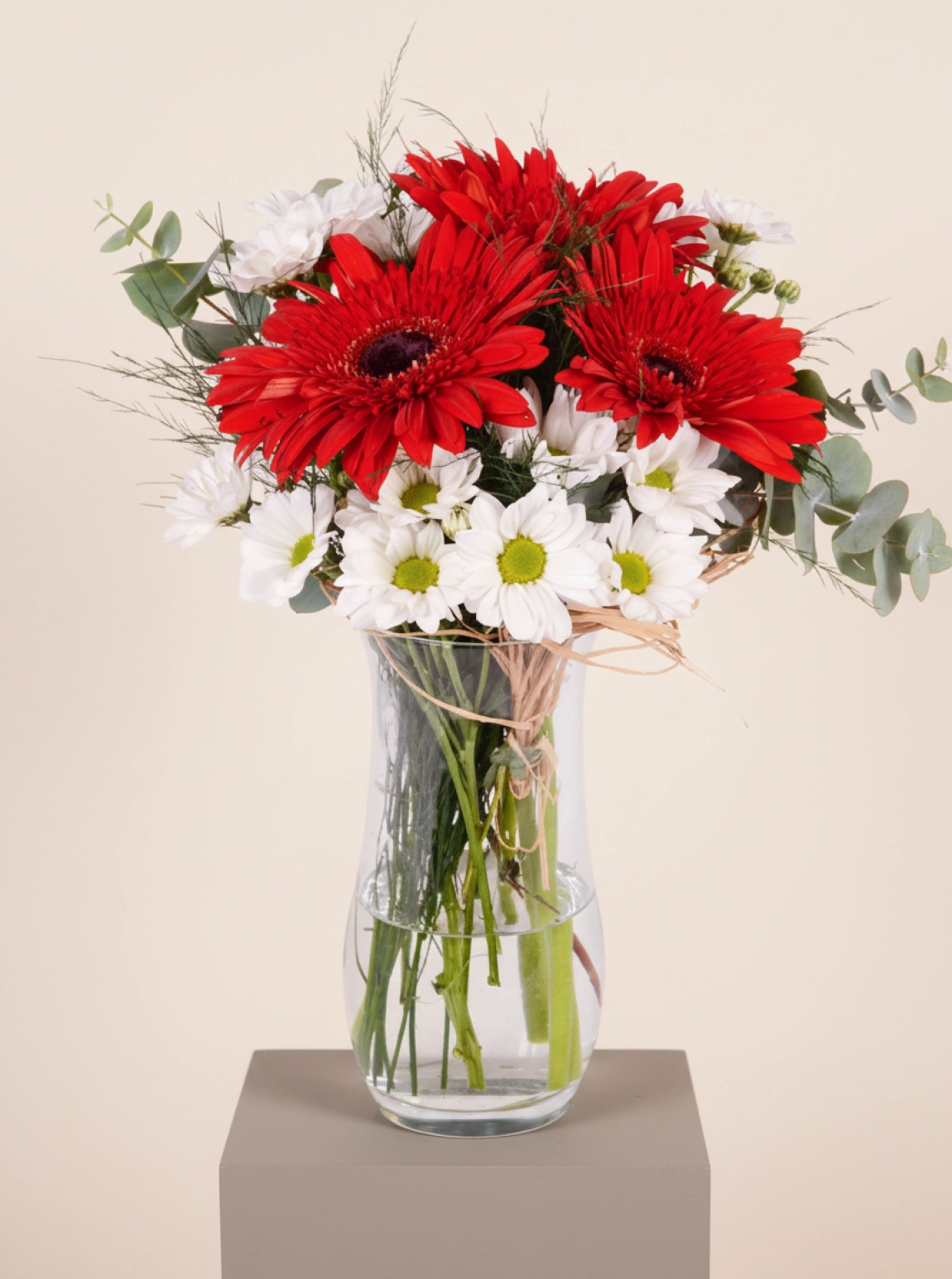 Kırmızı Gerbera Ve Papatya Vazosu